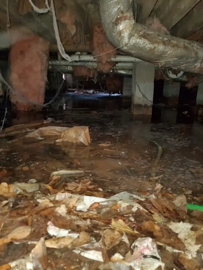 Crawl space flood assessment for Leak Detection & Repair in McGregor